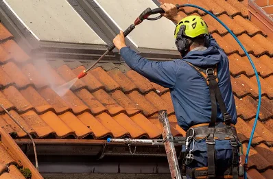 Démoussage et hydrofuge de toiture à Versailleux